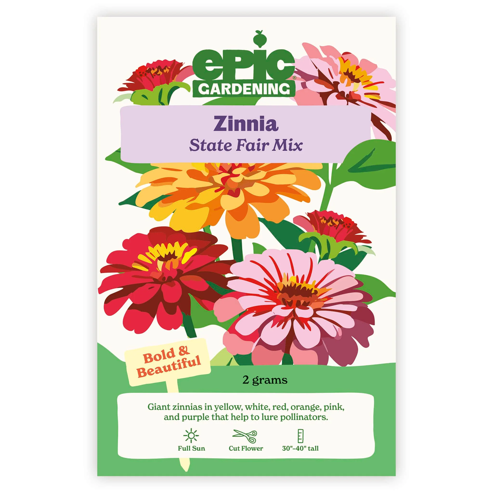 State Fair Mix Zinnia - Image 2