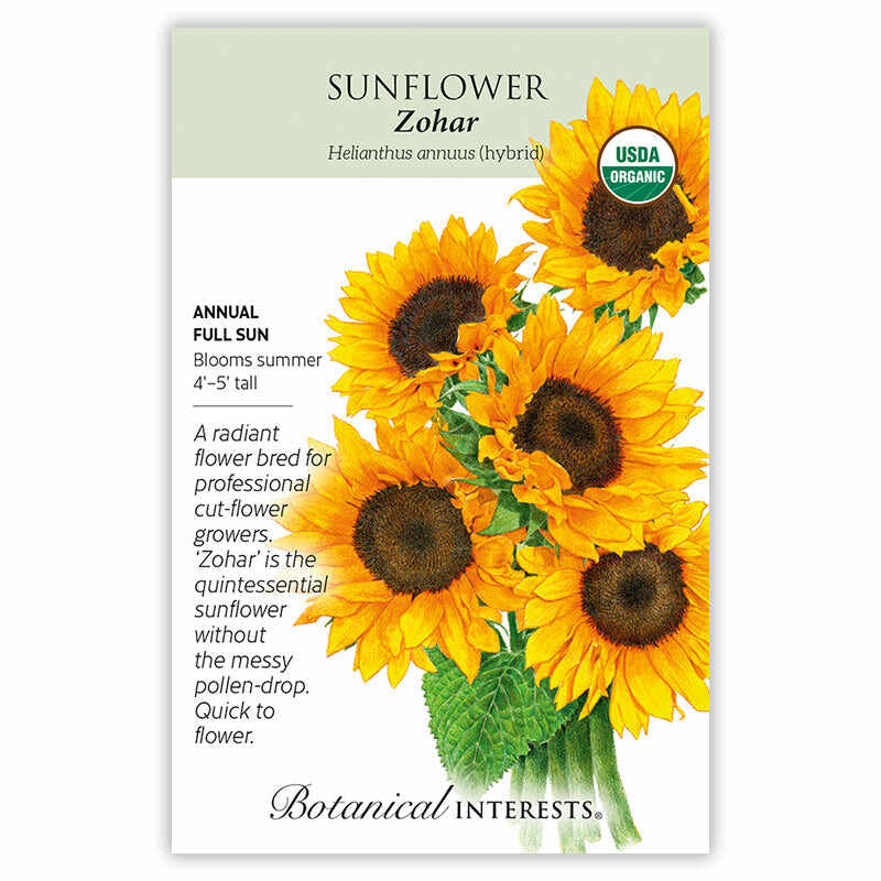 Zohar Sunflower Seeds - Image 3